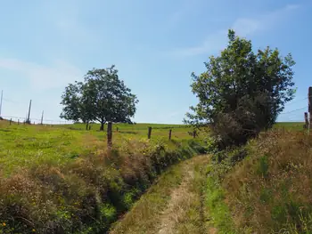 Beausaint (La Roche-en-Ardenne, België)